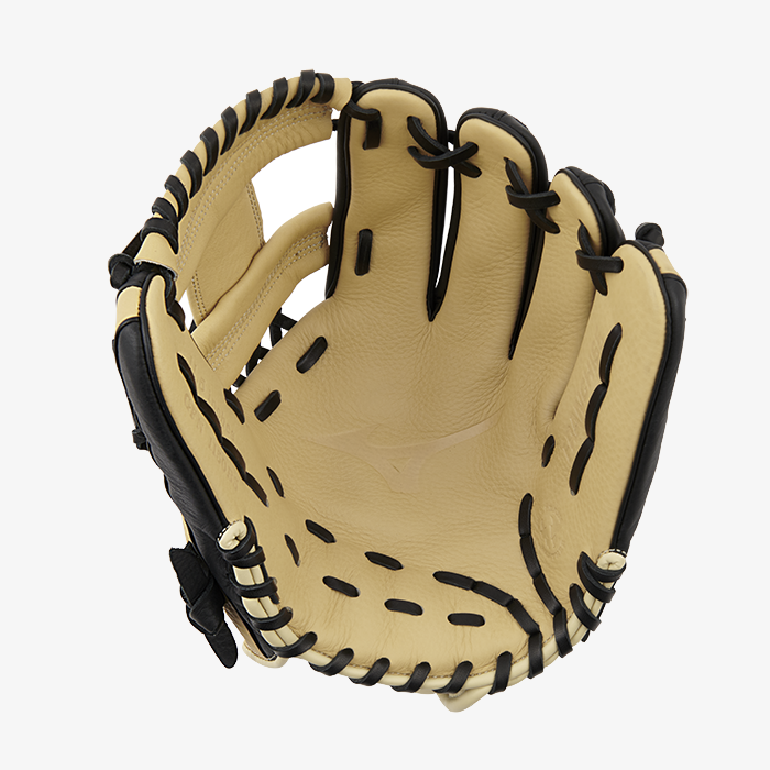 Black/ Tan