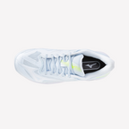 Ice Water (20)