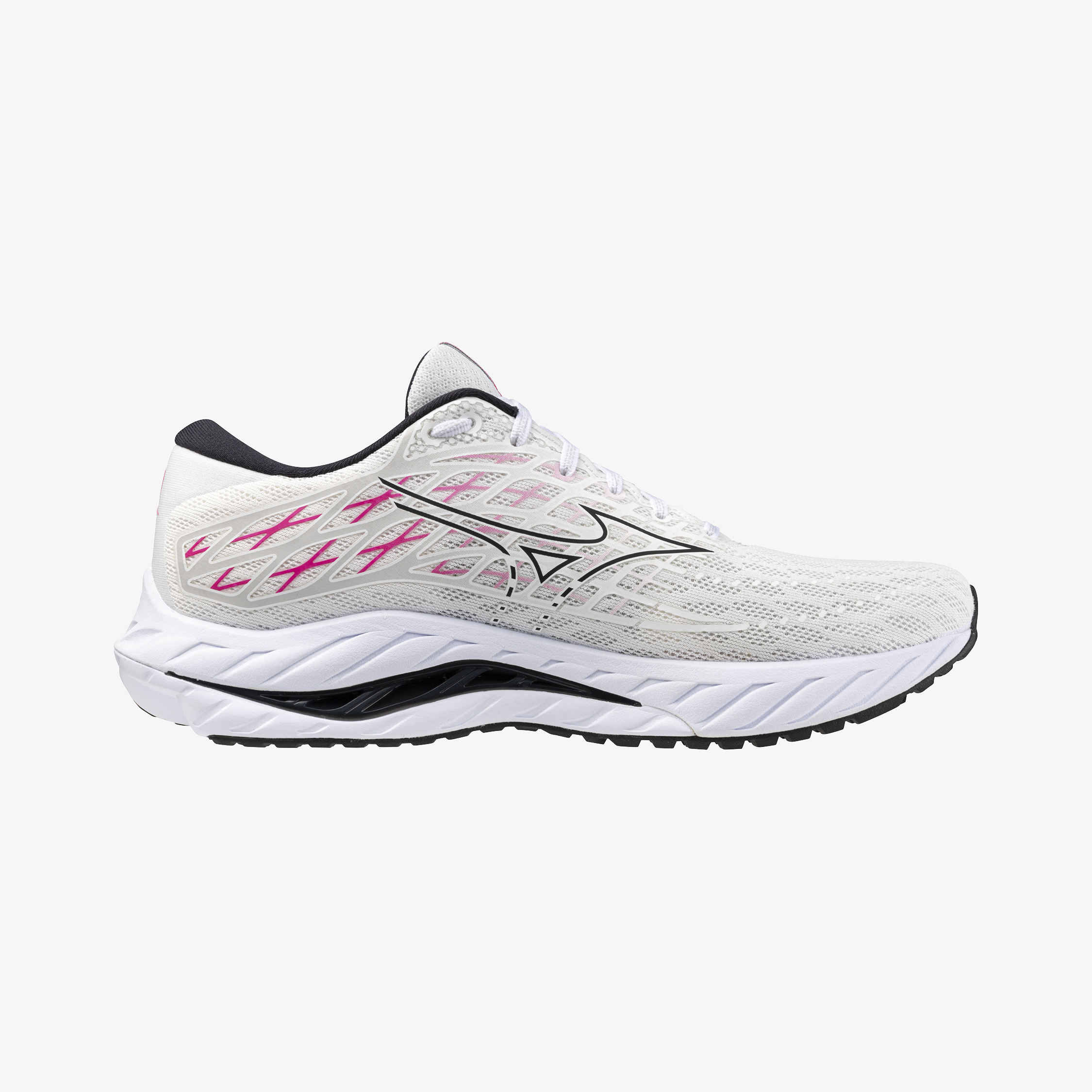 White Fuchsia (01)
