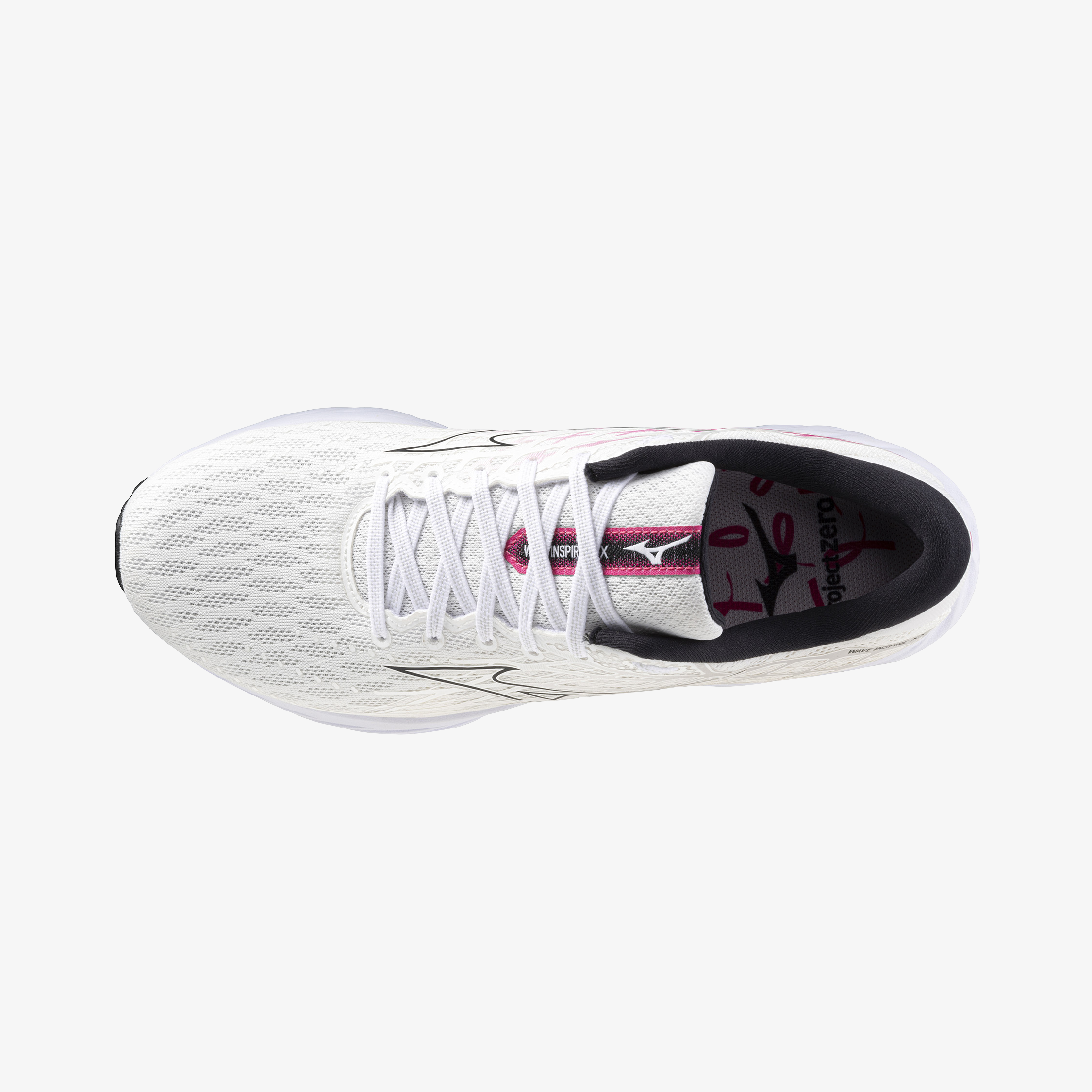 White Fuchsia (01)