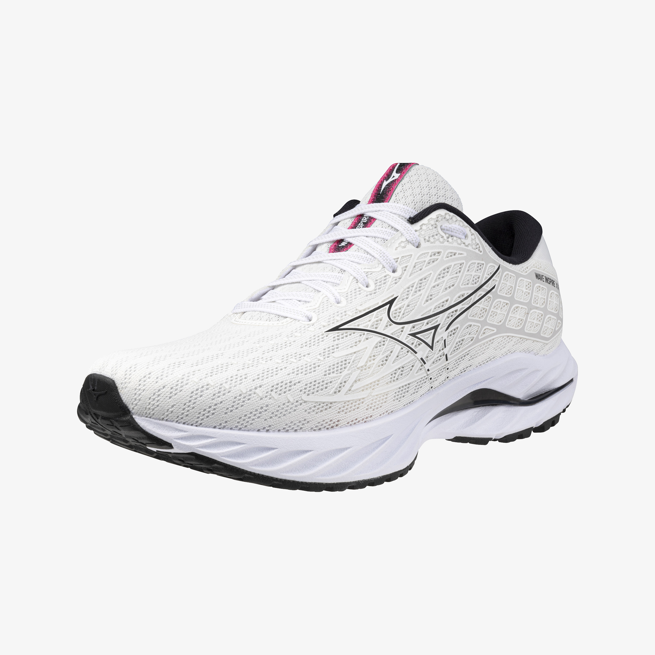 White Fuchsia (01)