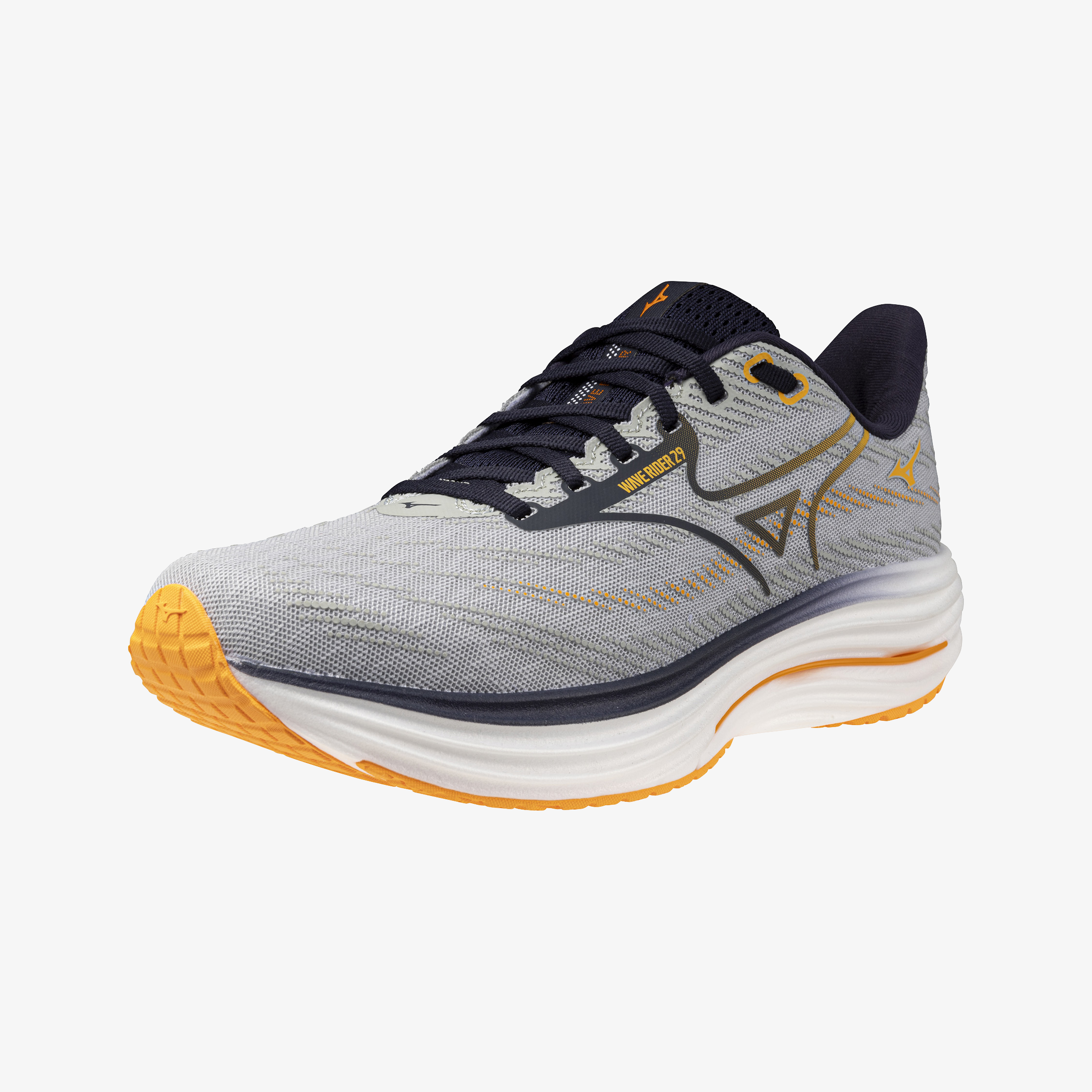 WAVE RIDER 29 (U)
