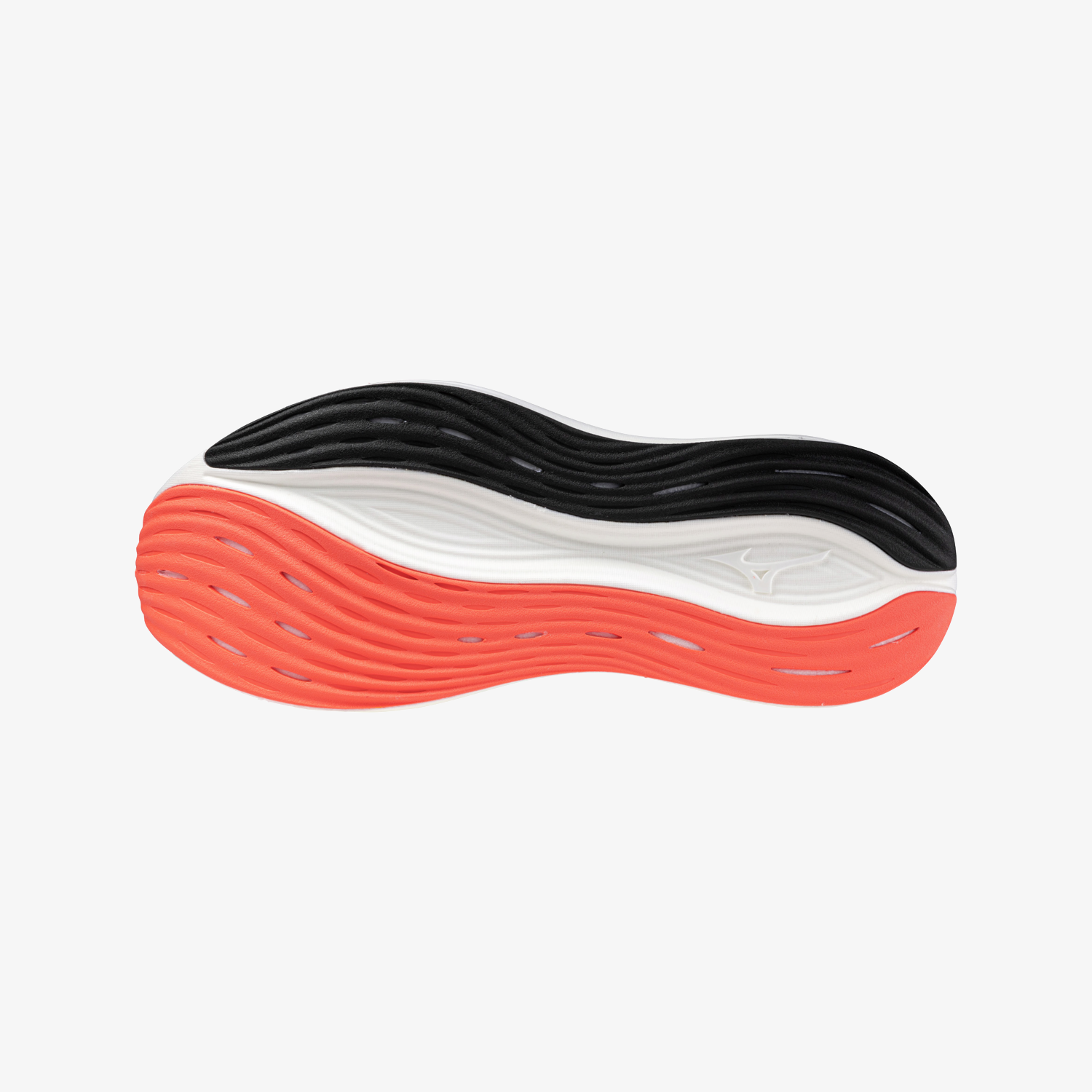 Black White Coral (03)
