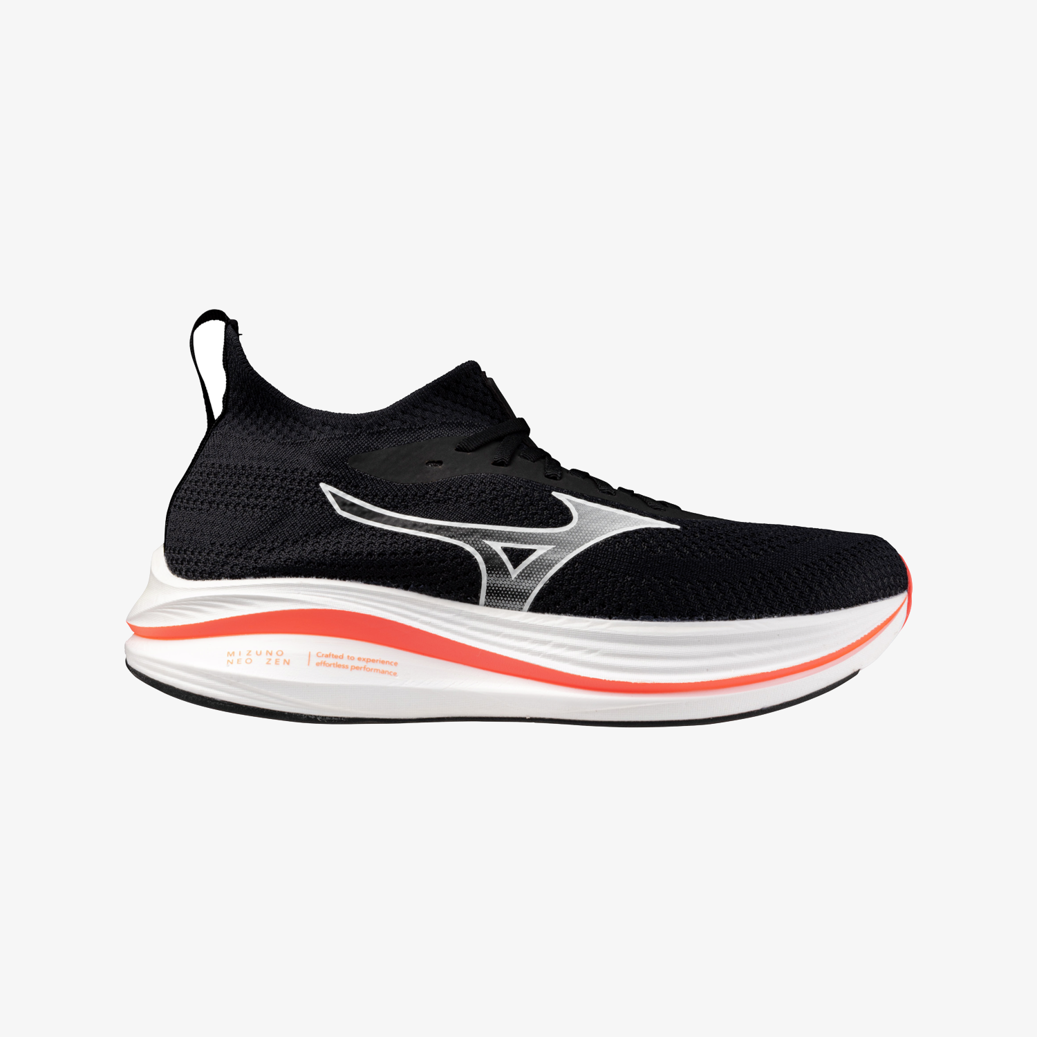 Black White Coral (03)