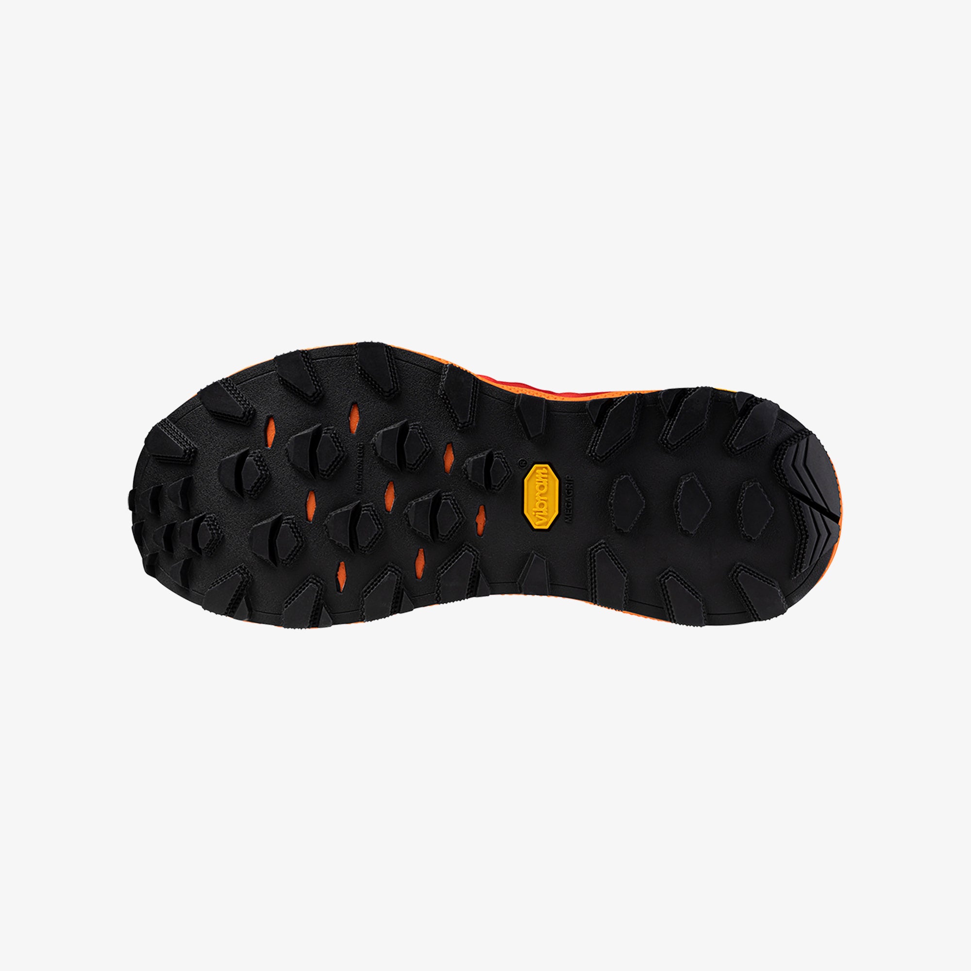 Black Nasturtium (01)