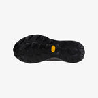Black Nimbus (21)
