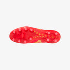 Fiery Coral (64)