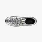 Galaxy Silver (04)