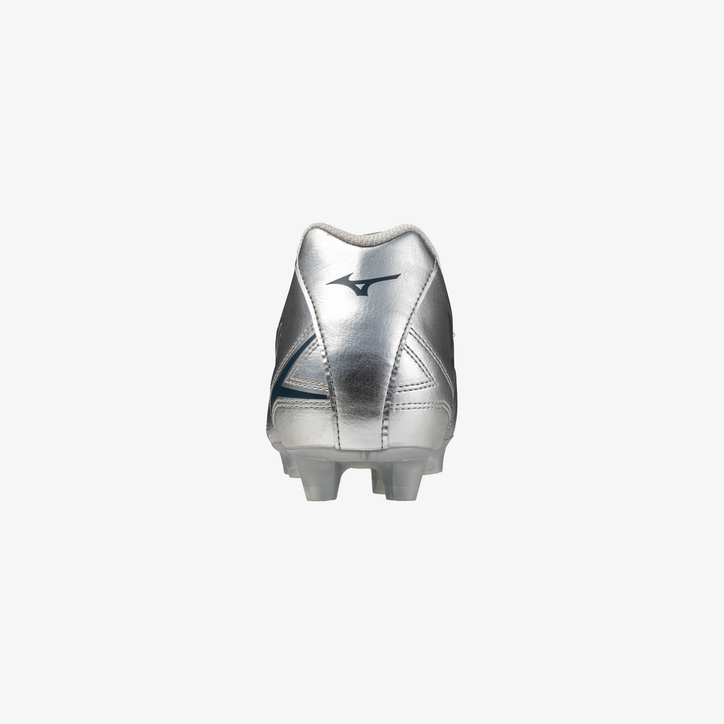 Galaxy Silver (04)