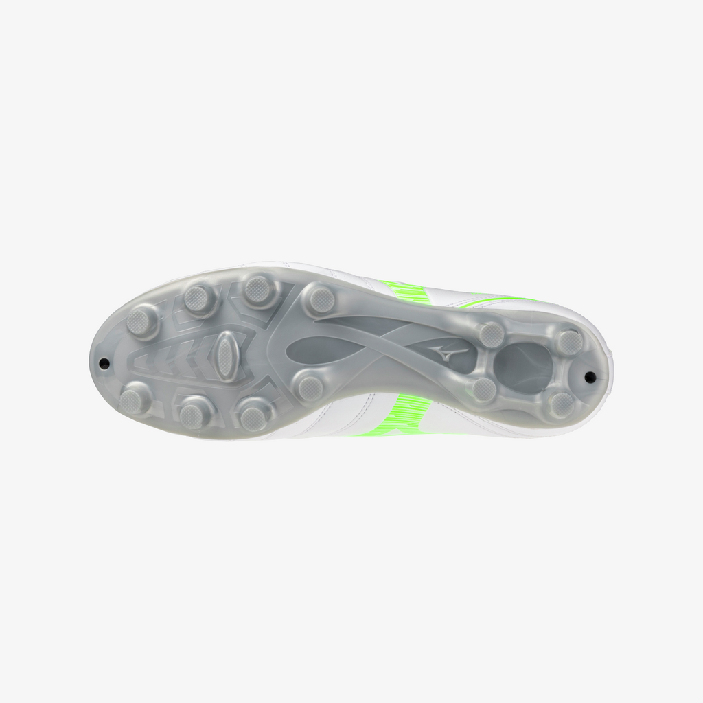 White Green Gecko (37)