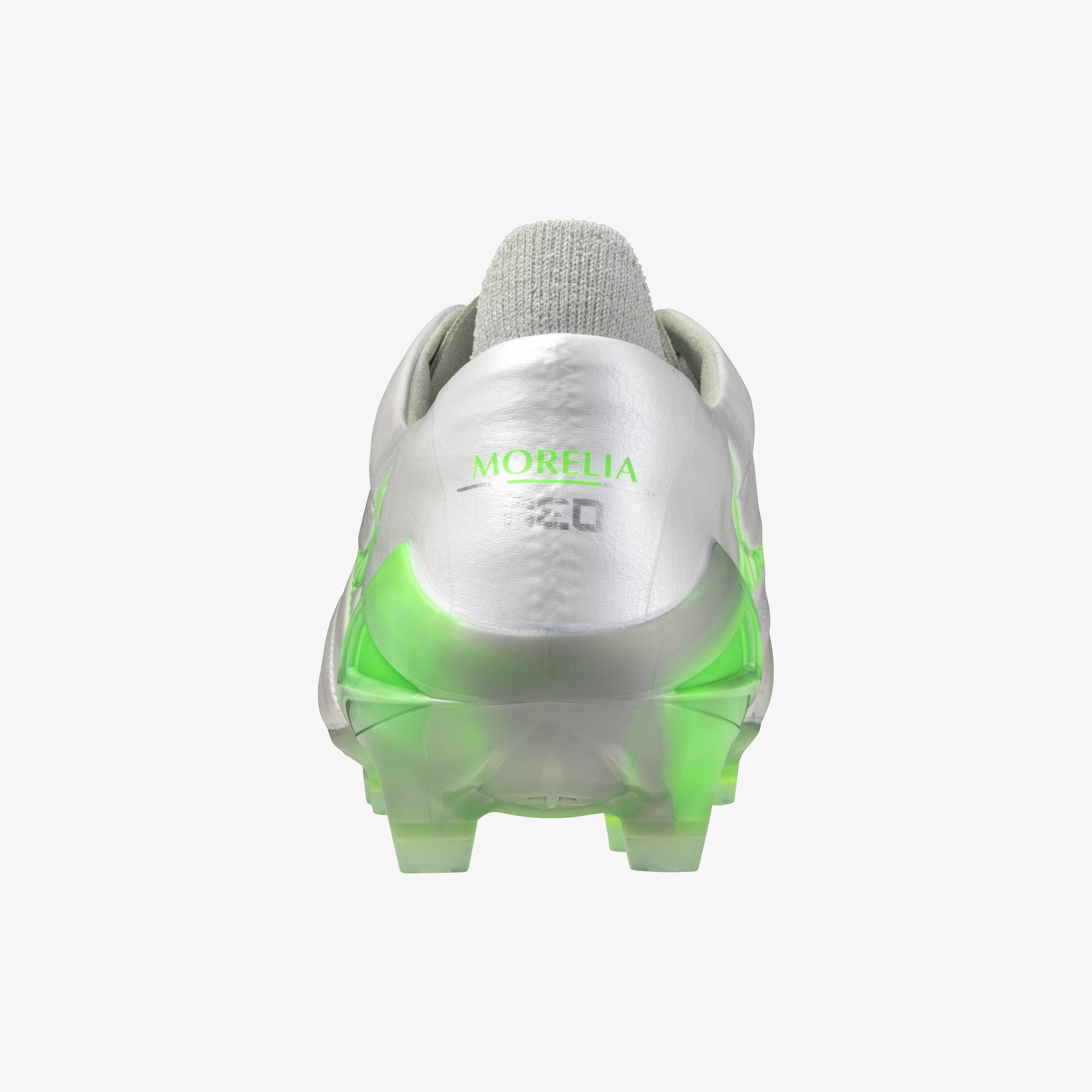White Green Gecko (37)