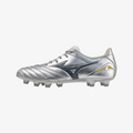 Galaxy Silver (04)