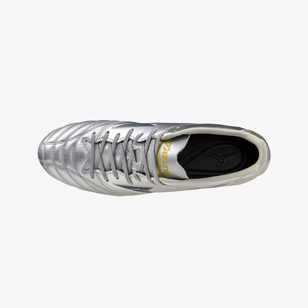 Galaxy Silver (04)