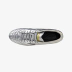 Galaxy Silver (04)