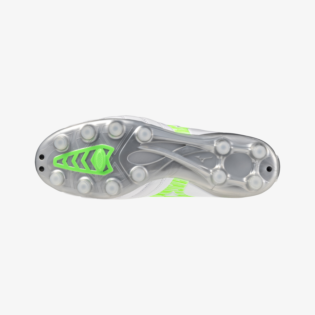 White Green Gecko (37)