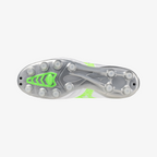 White Green Gecko (37)