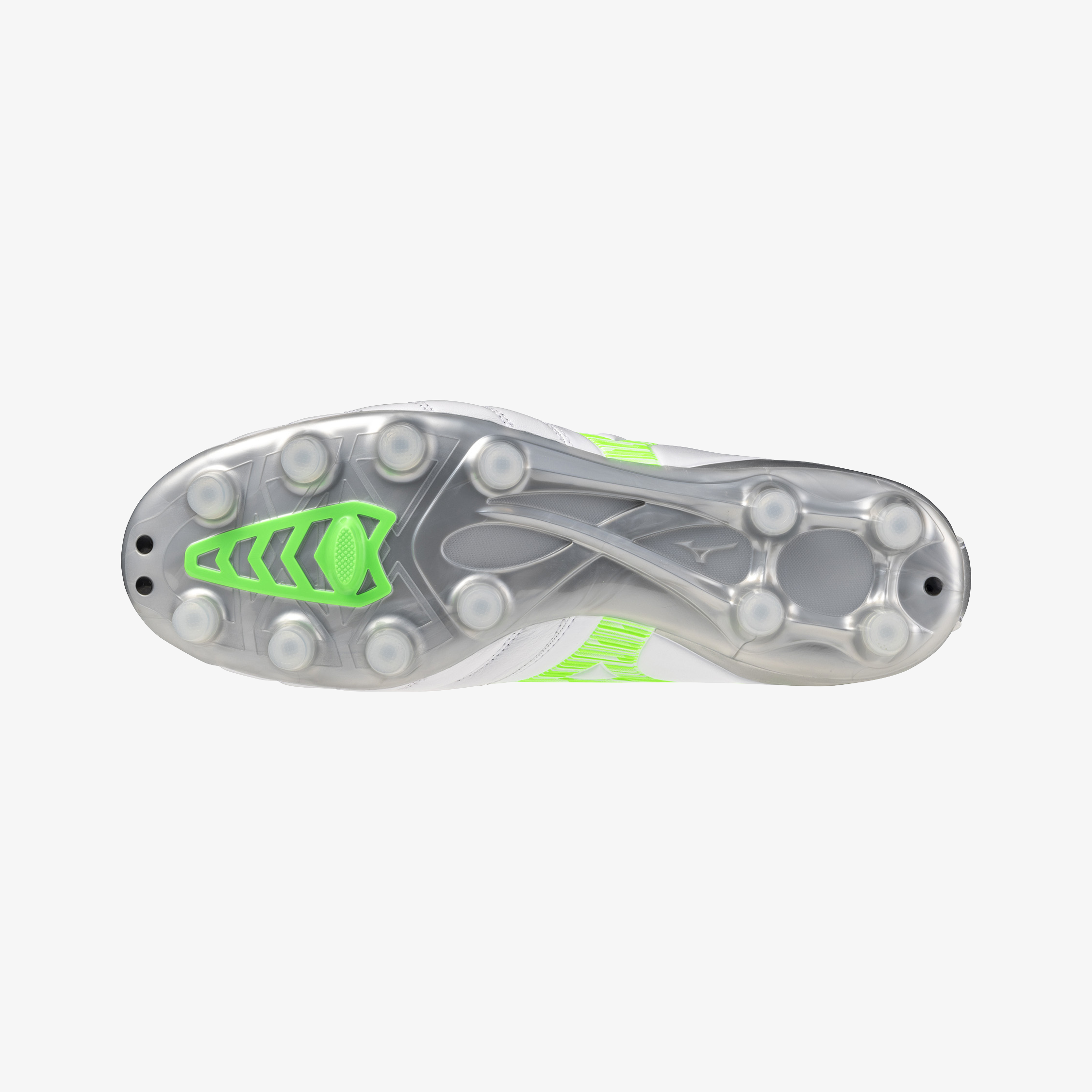 White Green Gecko (37)