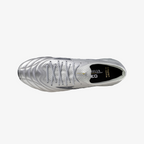 Galaxy Silver (04)