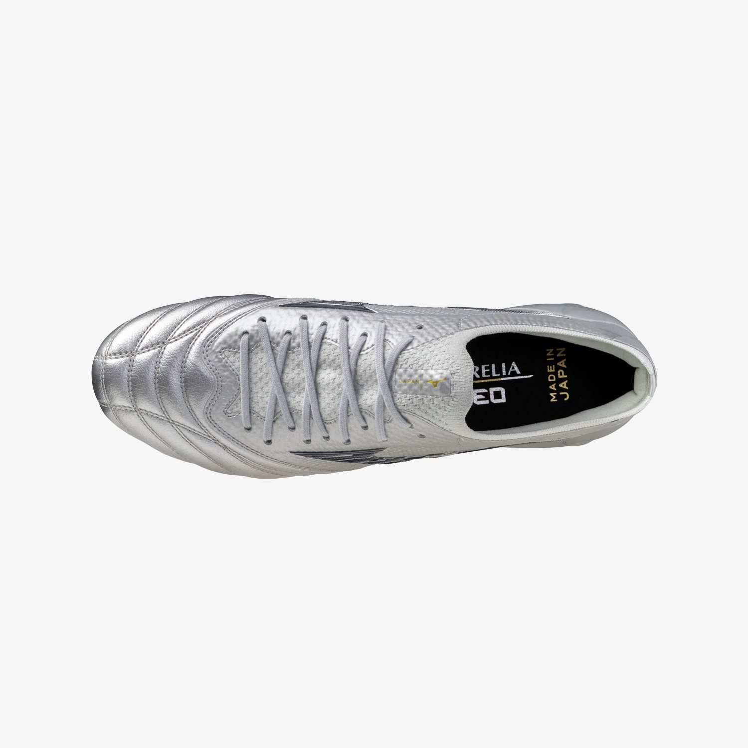 Galaxy Silver (04)