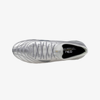Galaxy Silver (04)