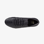 Obsidian (00)
