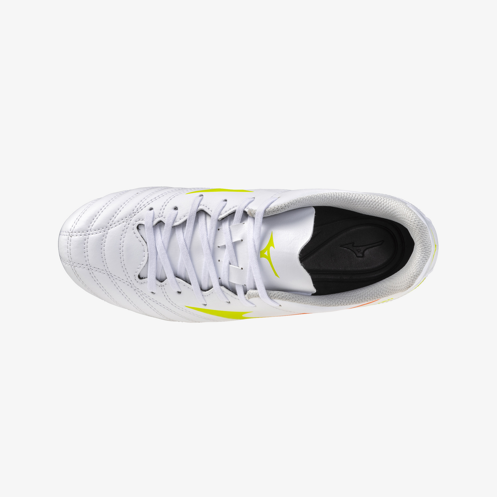 Prism White (54)