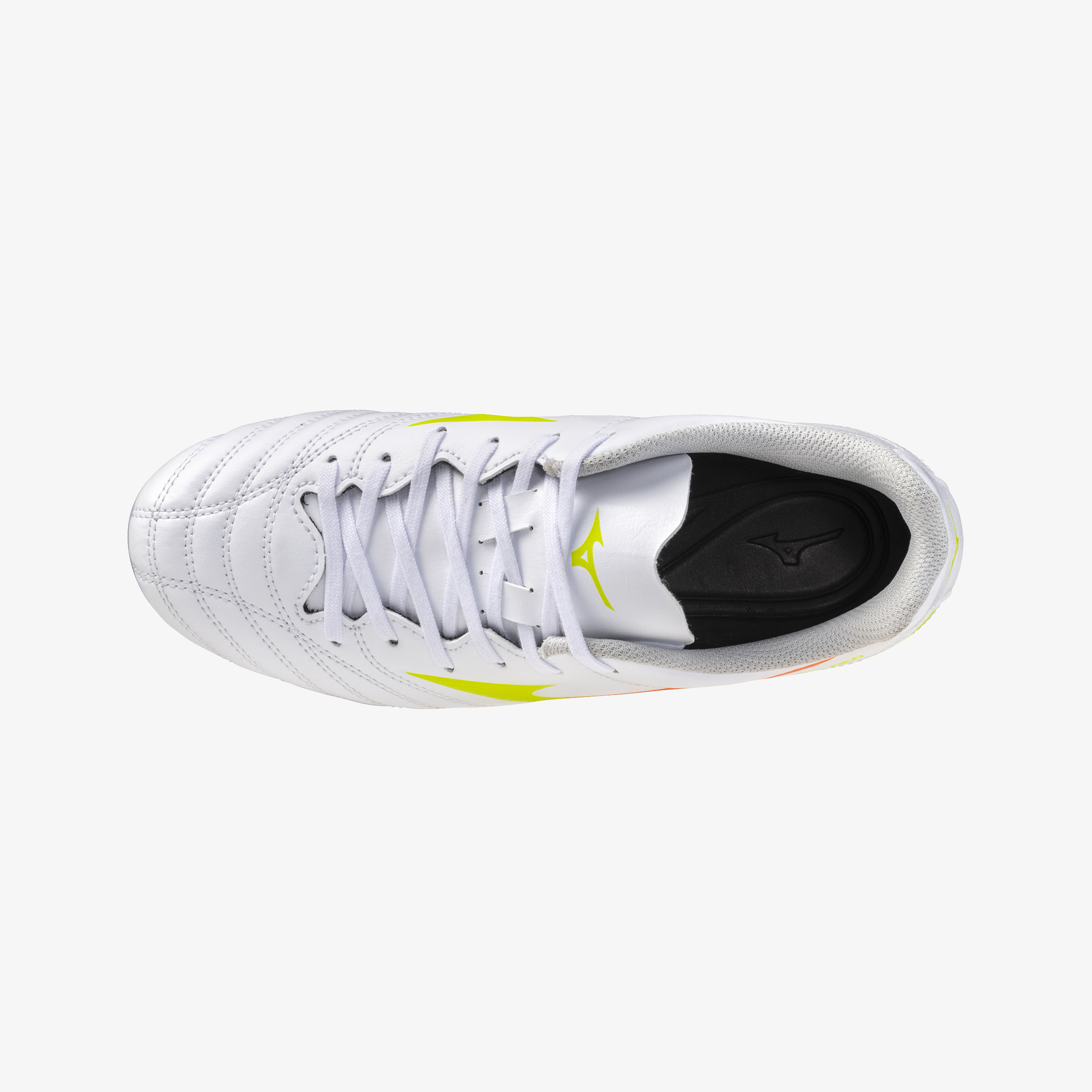 Prism White (54)
