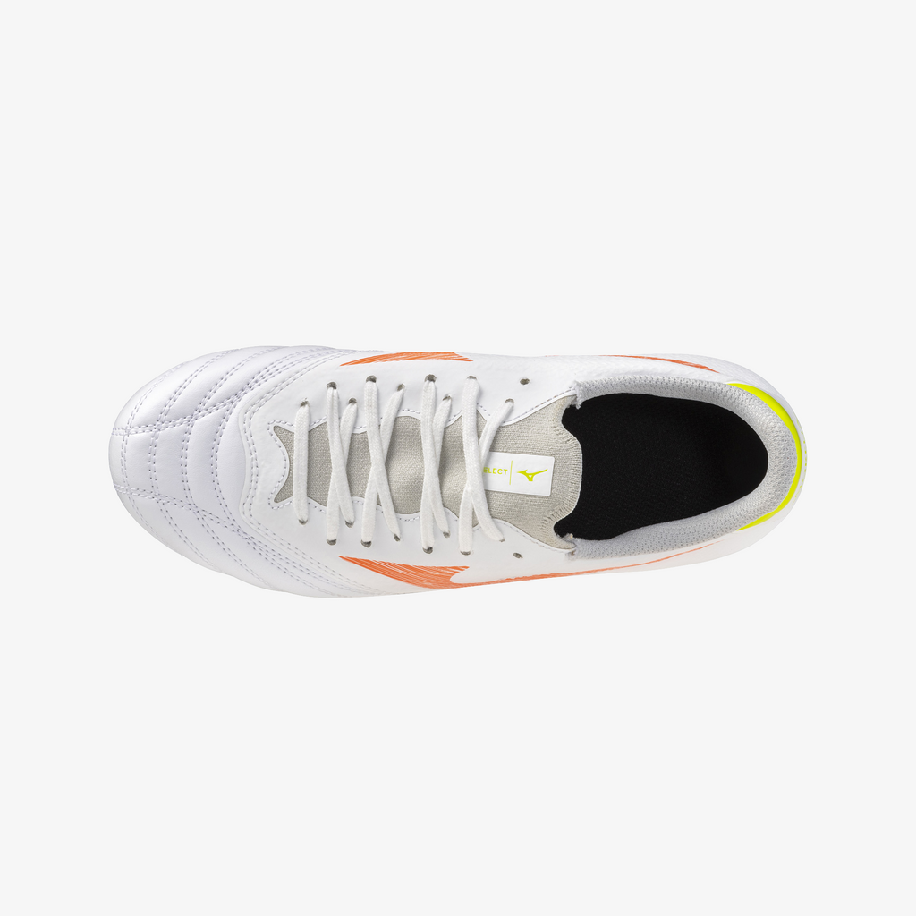 Prism White (54)