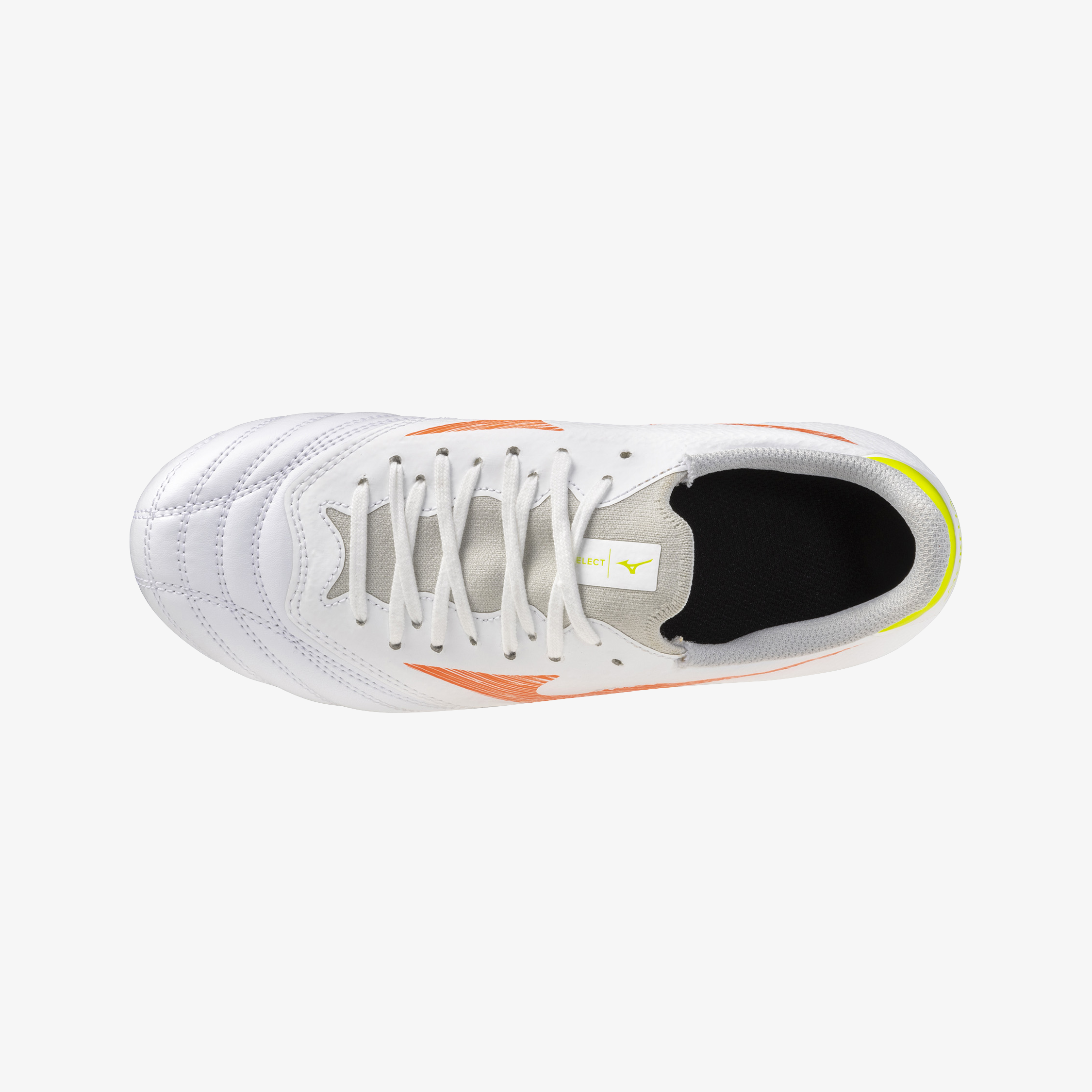 Prism White (54)