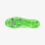 White Green Gecko (37)