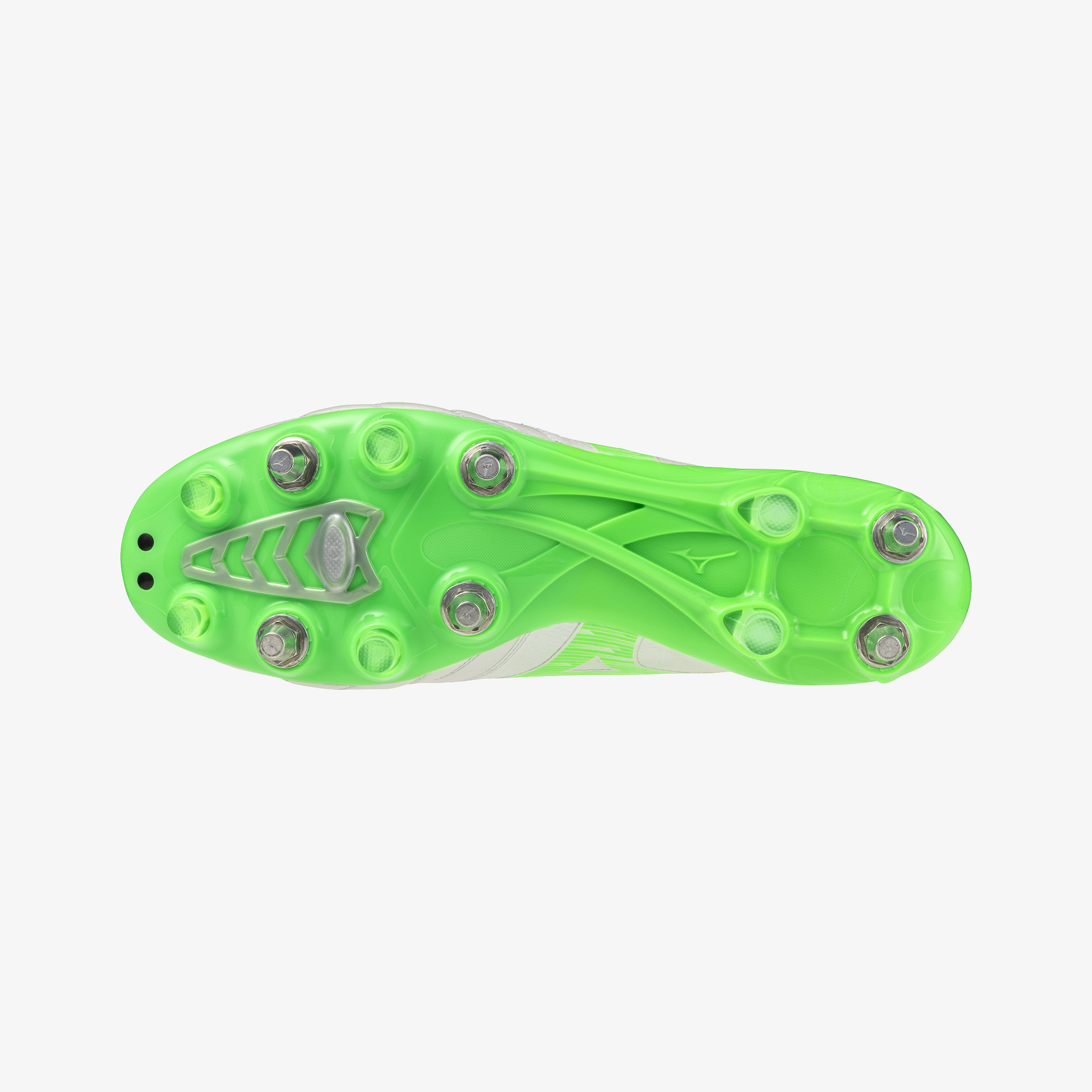 White Green Gecko (37)
