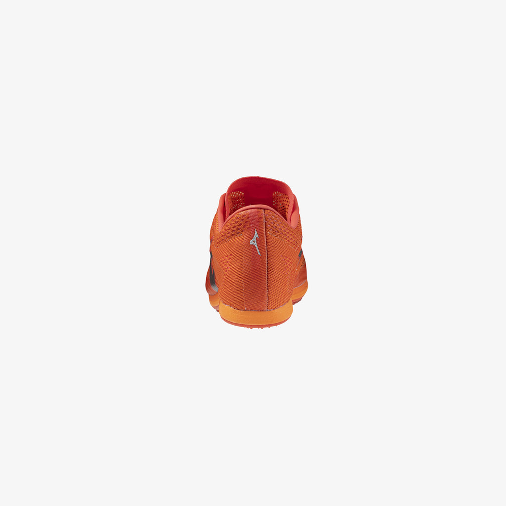 Nasturtium (12)