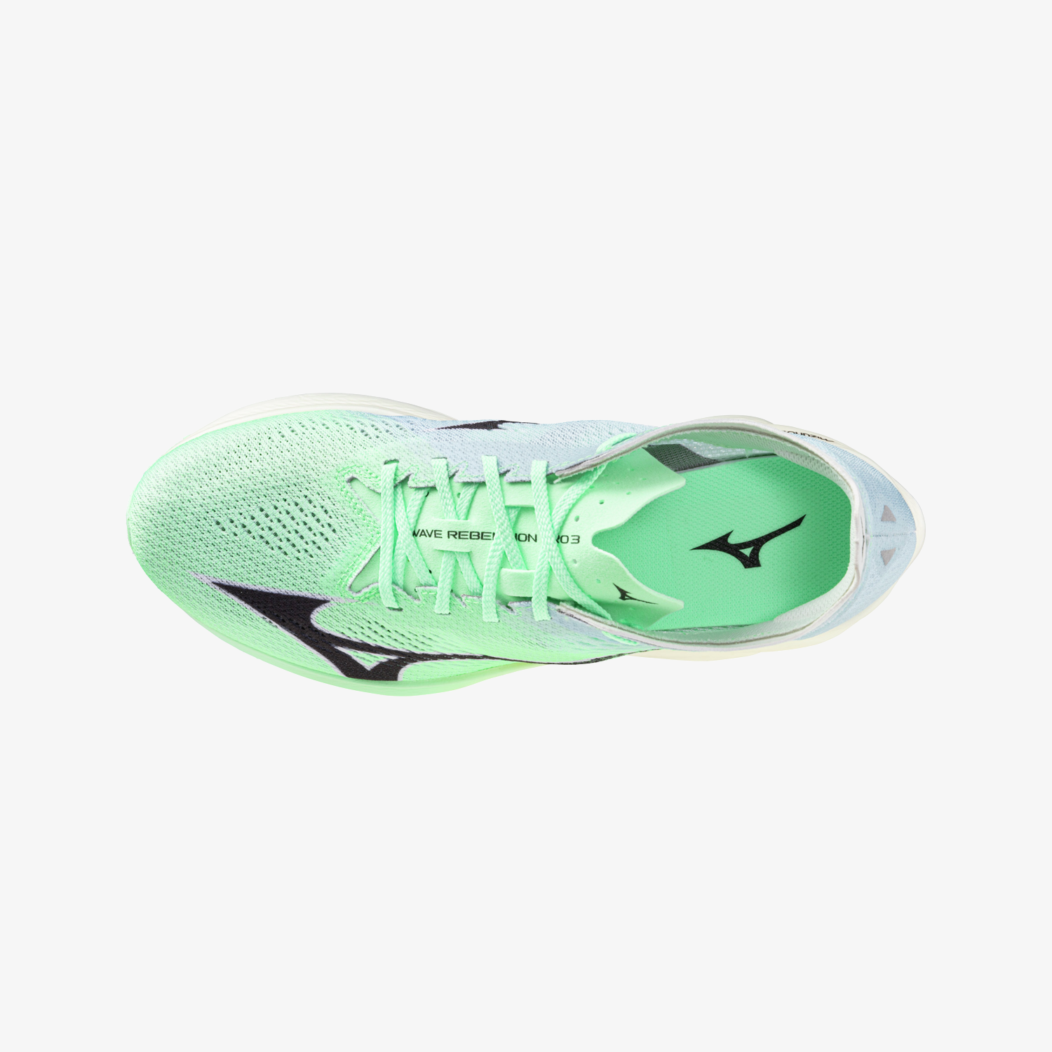 Neo Mint (01)