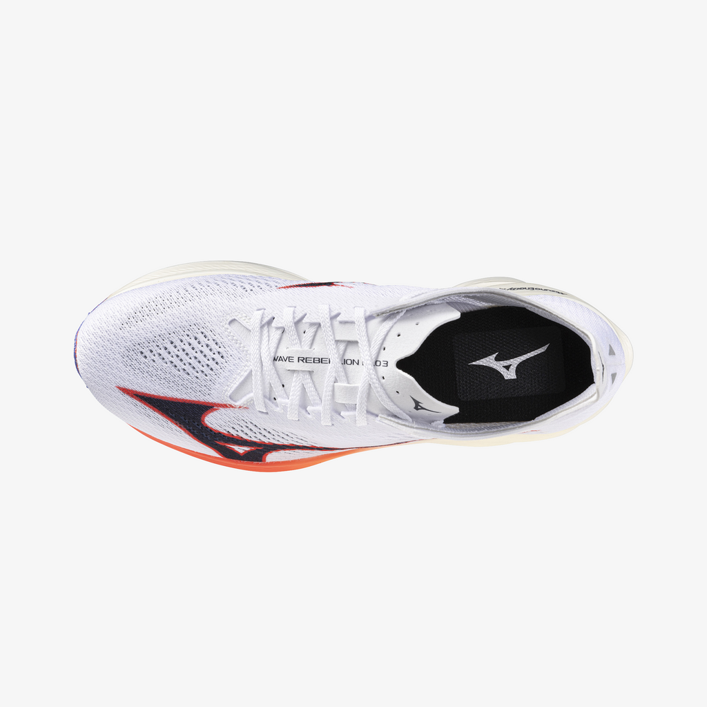 White Coral (11)