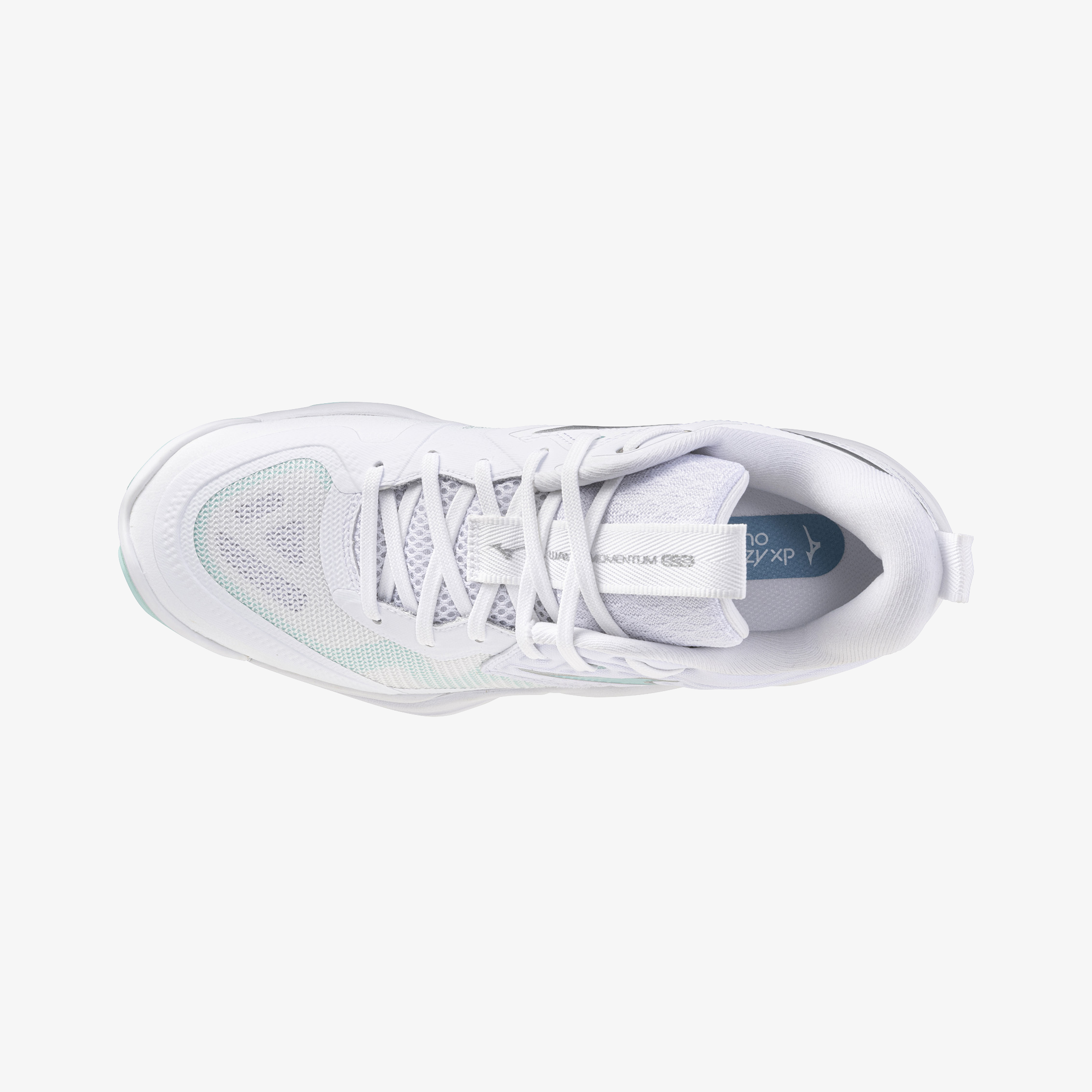 Blue Tint (45)