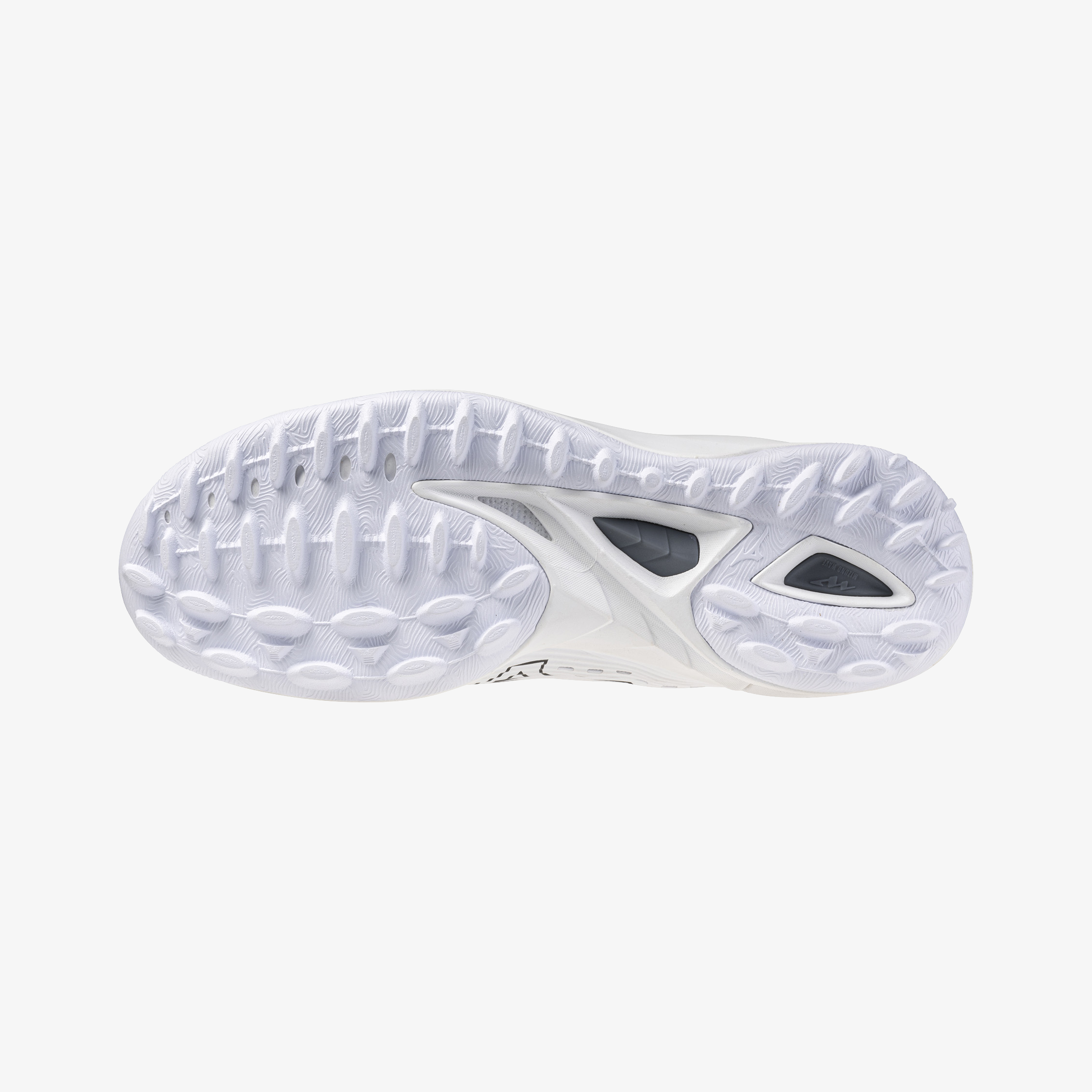 WAVE LEOPARDUS