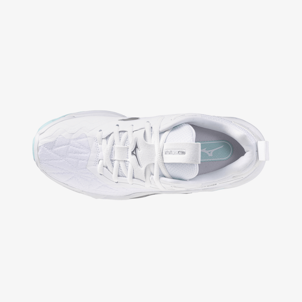 Blue Tint (45)