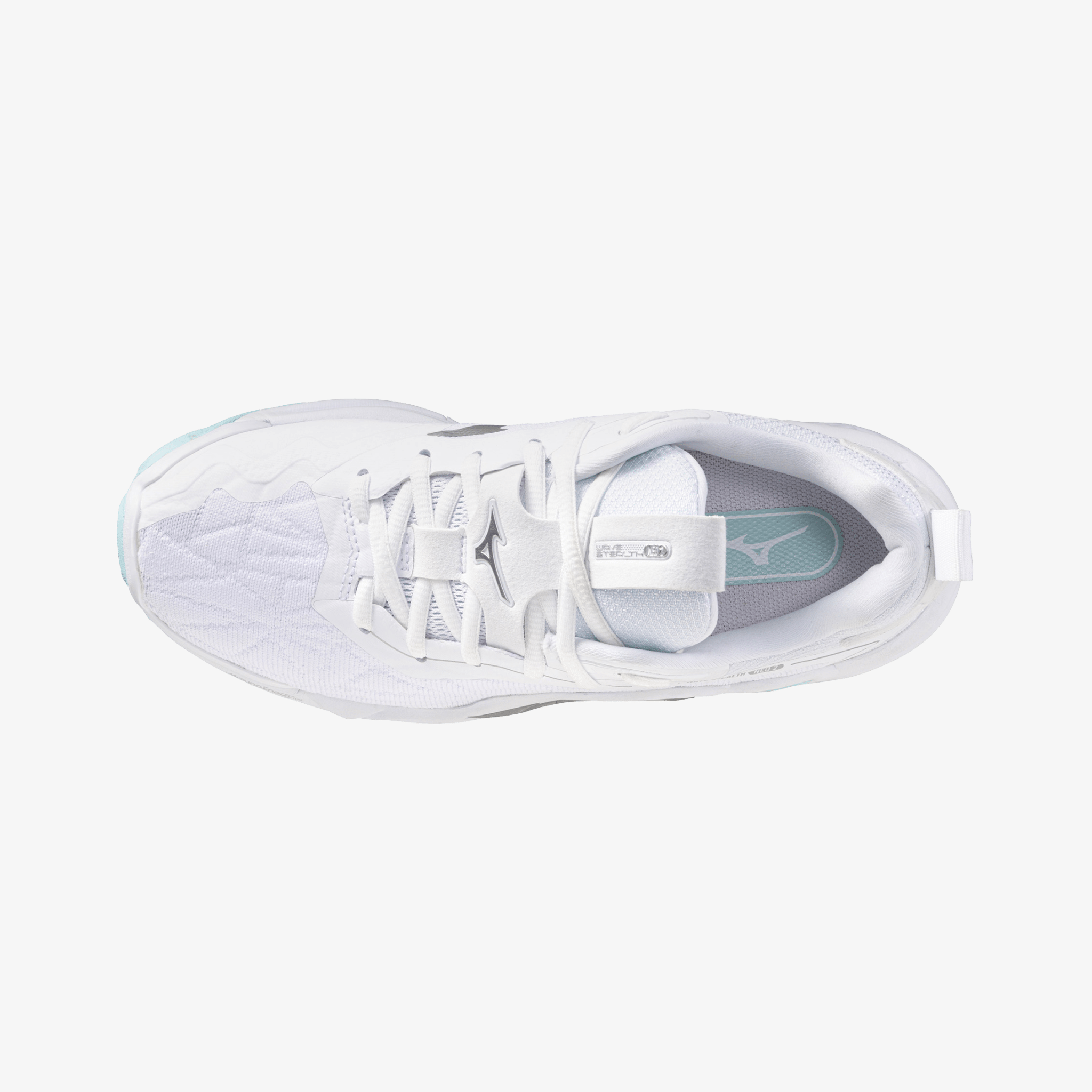 Blue Tint (45)
