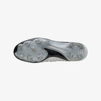 Galaxy Silver (09)