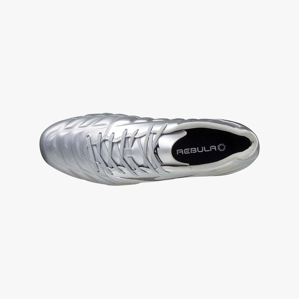 Galaxy Silver (09)