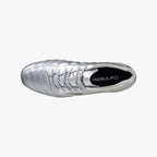 Galaxy Silver (09)