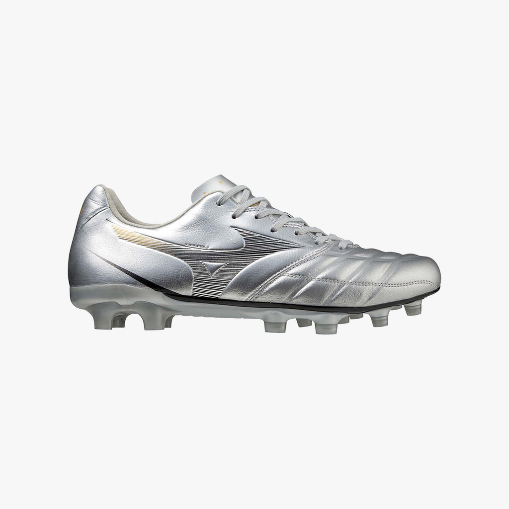 Galaxy Silver (09)