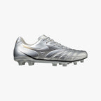 Galaxy Silver (09)