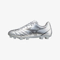 Galaxy Silver (09)