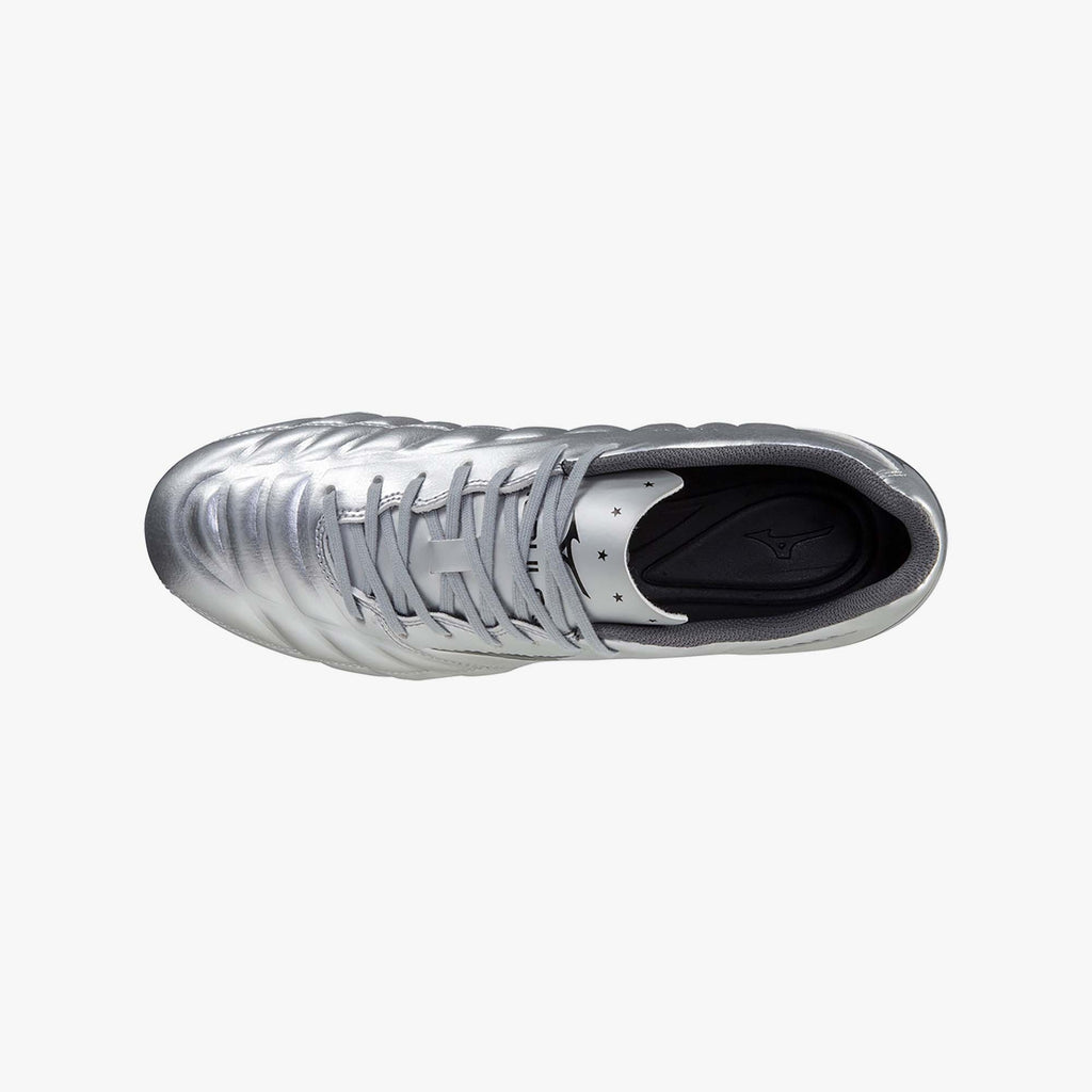 Galaxy Silver (09)