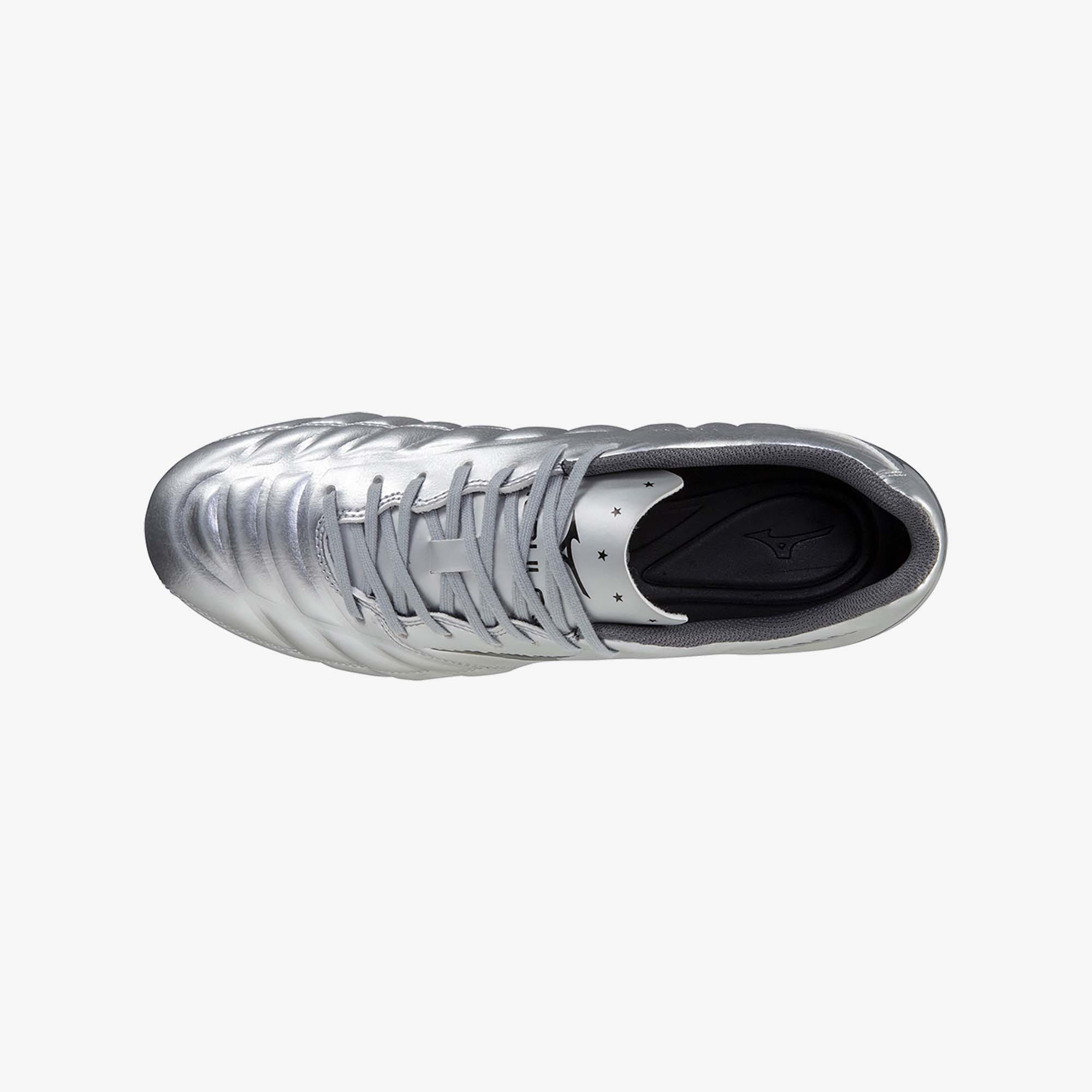 Galaxy Silver (09)