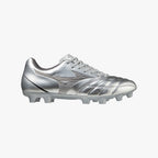 Galaxy Silver (09)