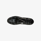 Black Iridescent (99)