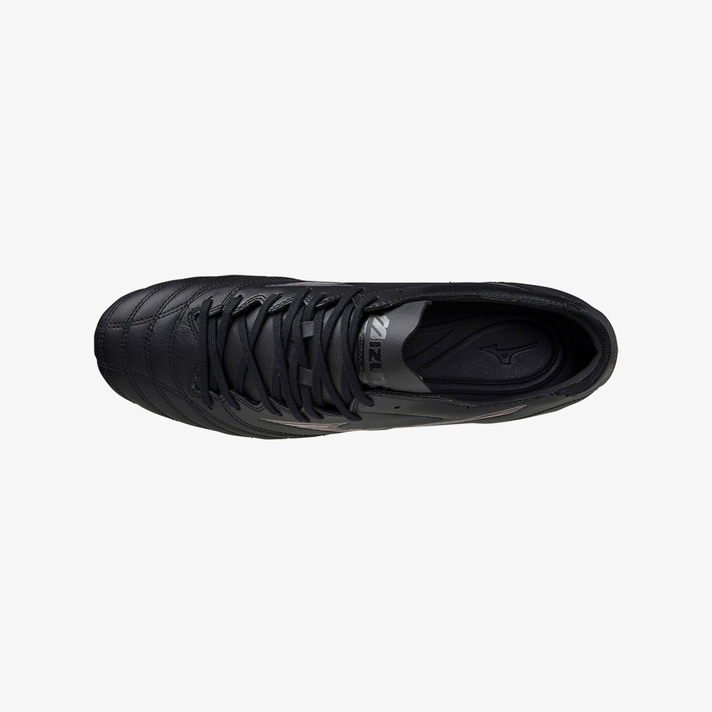 Black Iridescent (99)